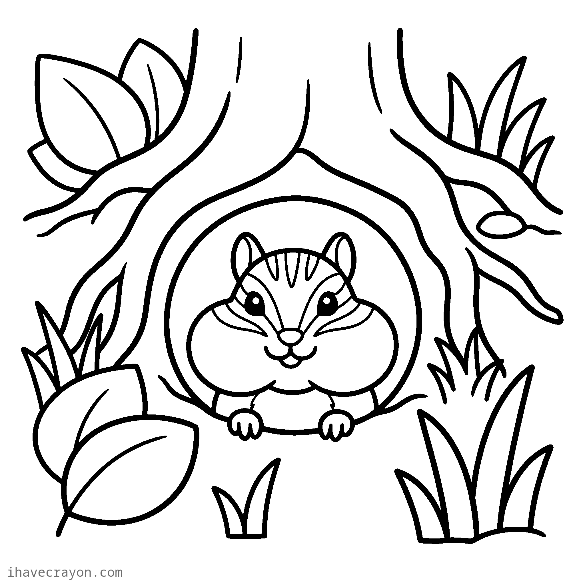 Chipmunk Coloring Pages, sheet 1